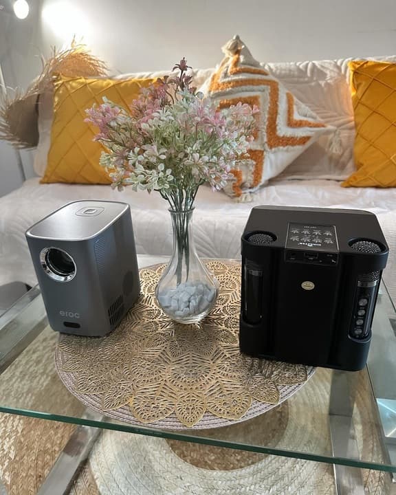 Projector and portable karaoke